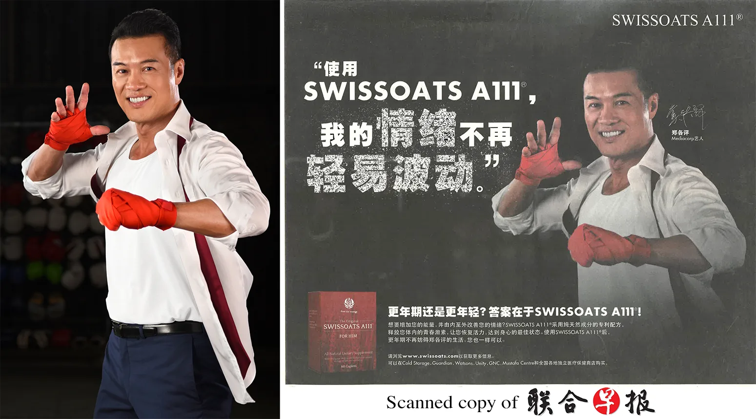 Swissoats Newspaper Website - advertising & publications by Macrostudios Singapore