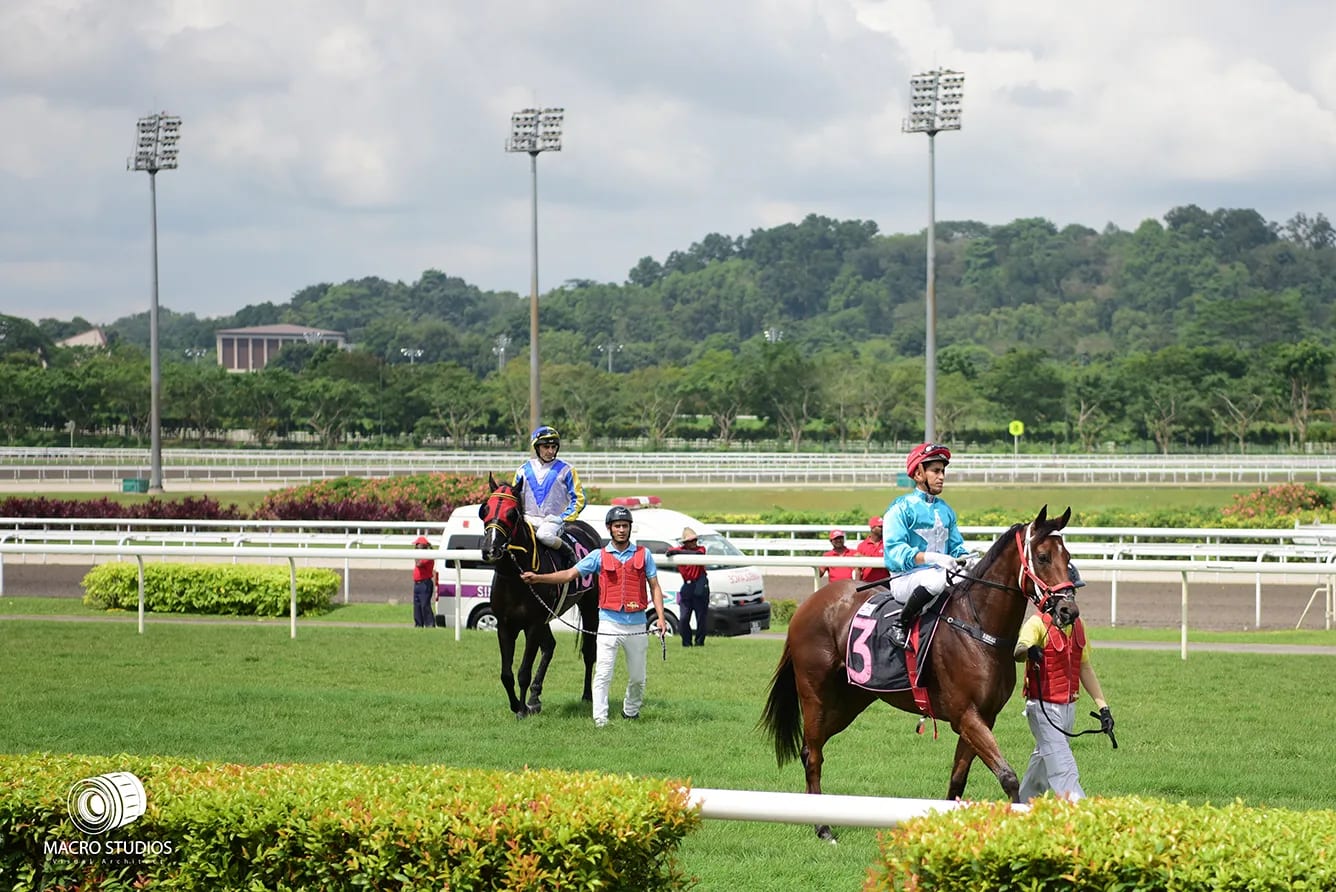 22nd Emirates Singapore Derby - corporate events by Macrostudios Singapore